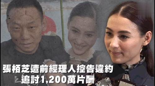 娱乐性吃瓜,揭秘明星们的“吃瓜”大作战